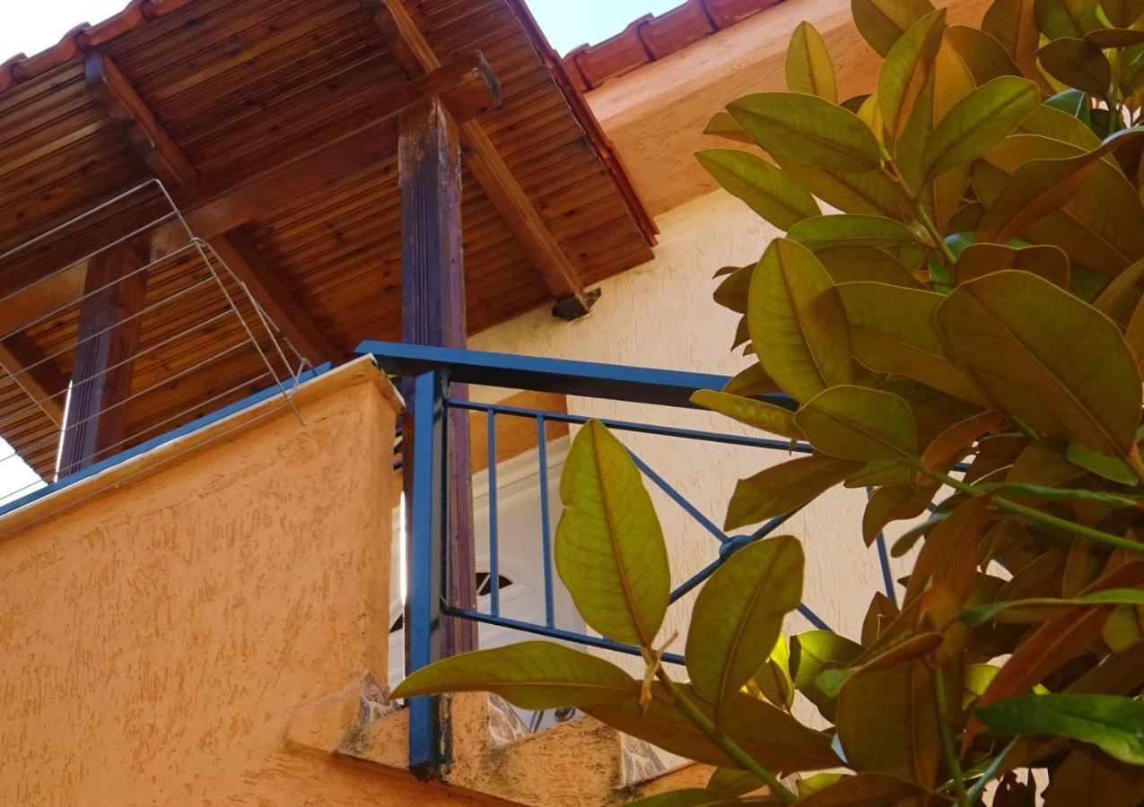 Trip Your Mind In Greece بساكوذيا المظهر الخارجي الصورة